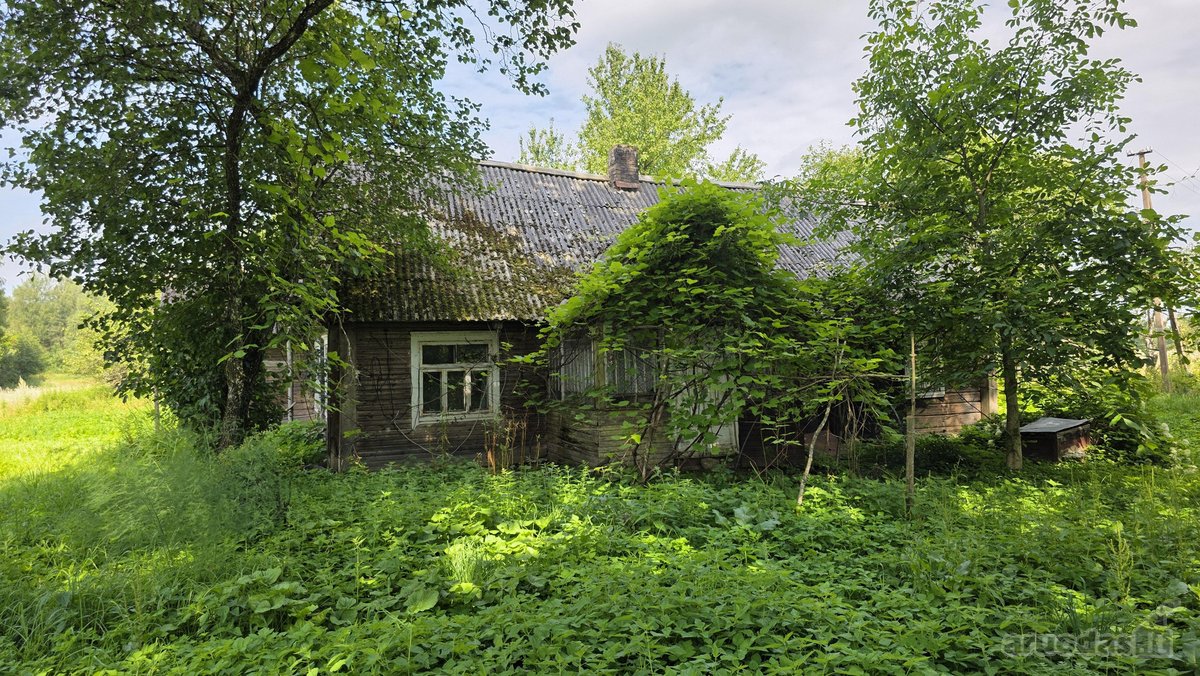 Sodyba Prie Anykščių: Autentiškas Kaimo - nuotraukos Nr. 5