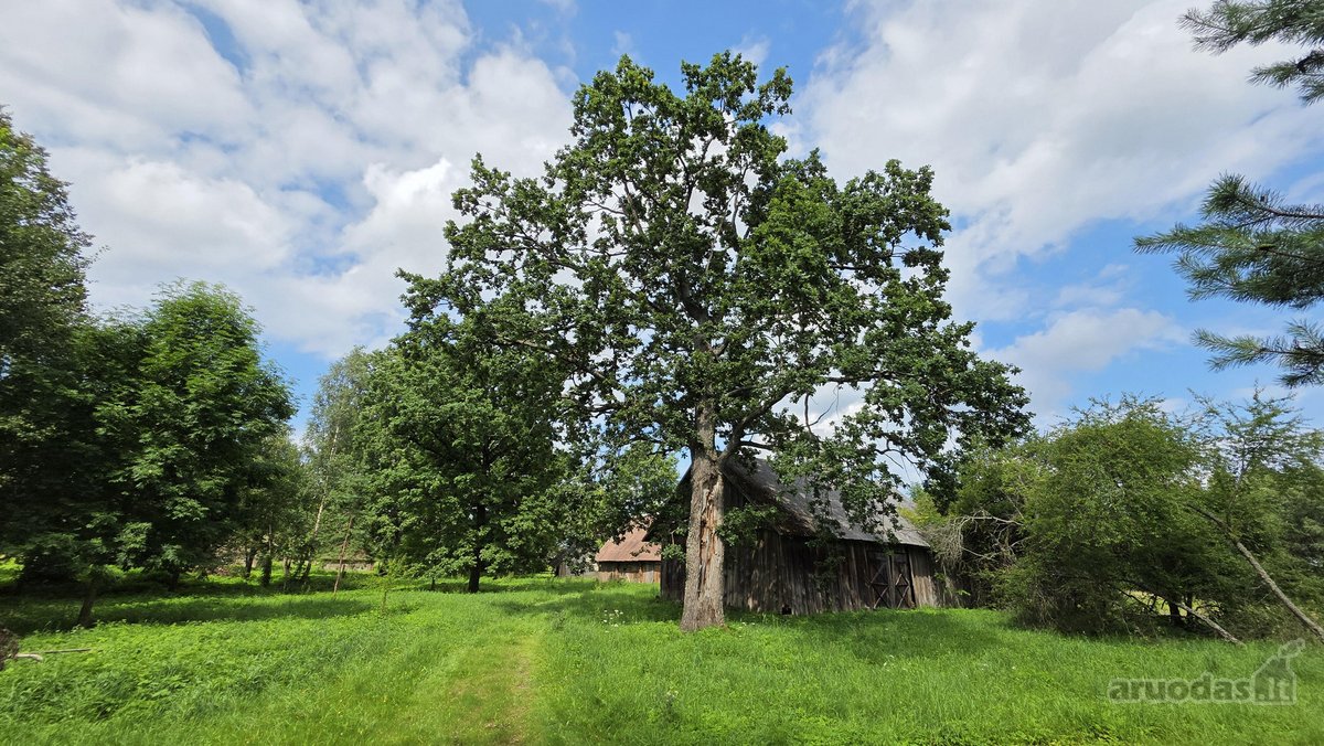 Sodyba Prie Anykščių: Autentiškas Kaimo - nuotraukos Nr. 23