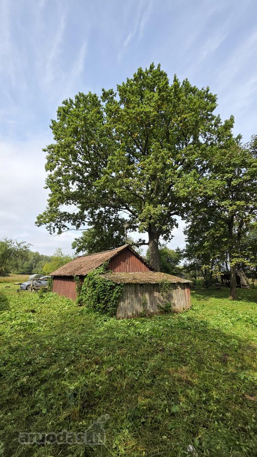 Sodyba Prie Anykščių: Autentiškas Kaimo - nuotraukos Nr. 11