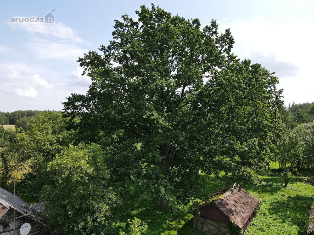 Sodyba Prie Anykščių: Autentiškas Kaimo - nuotraukos Nr. 12