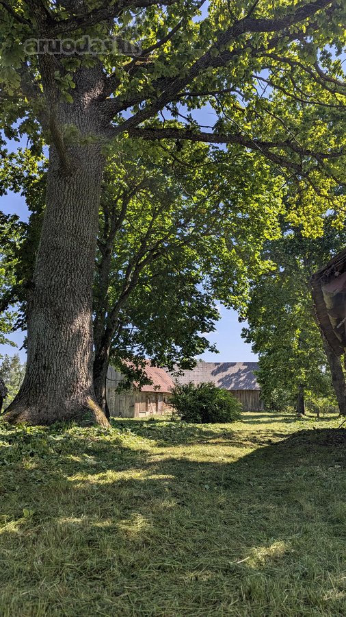 Sodyba Prie Anykščių: Autentiškas Kaimo - nuotraukos Nr. 16