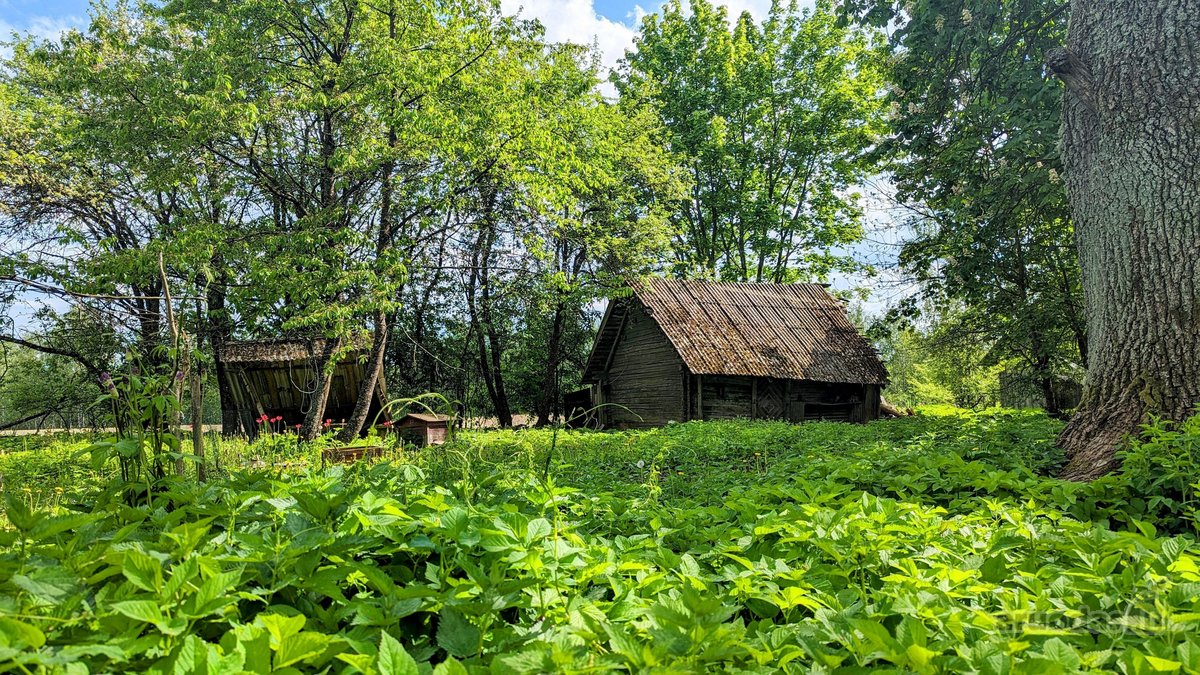 Sodyba Prie Anykščių: Autentiškas Kaimo - nuotraukos Nr. 17