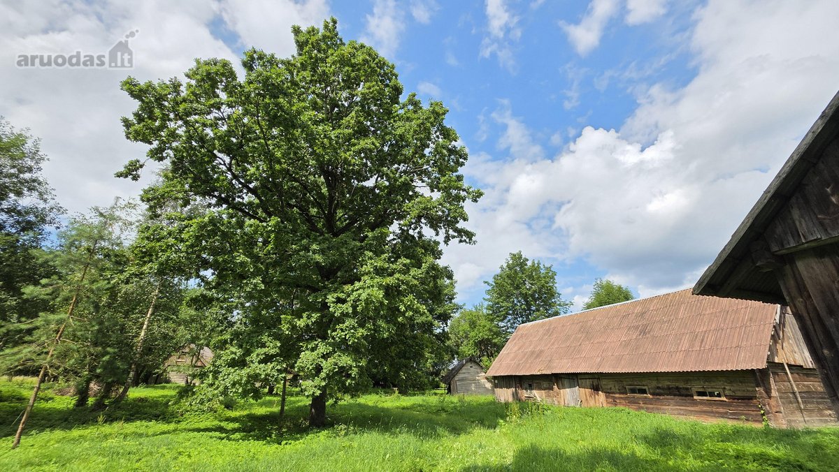 Sodyba Prie Anykščių: Autentiškas Kaimo - nuotraukos Nr. 24