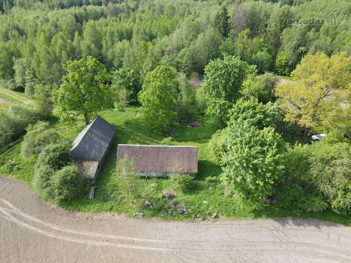 Sodyba Prie Anykščių: Autentiškas Kaimo - nuotraukos Nr. 25