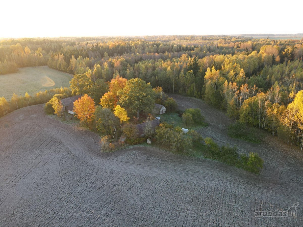 Sodyba Prie Anykščių: Autentiškas Kaimo