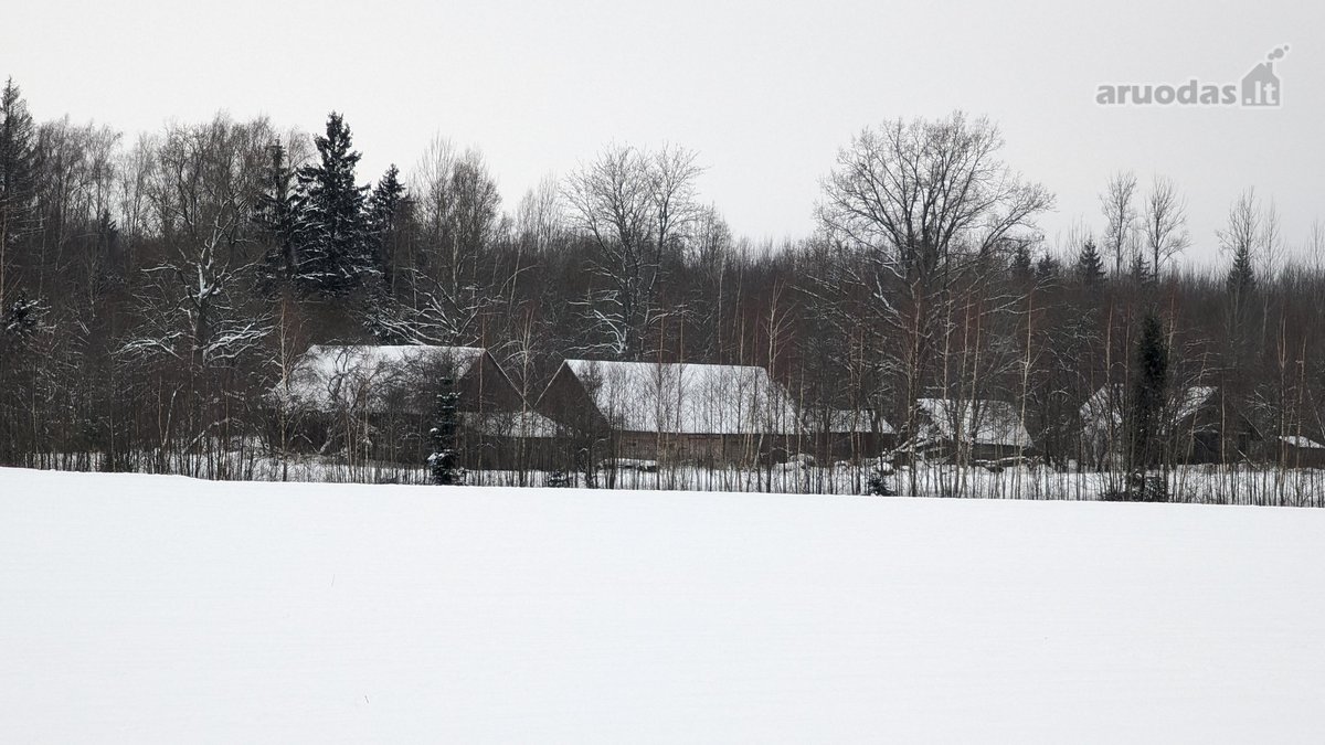 Sodyba Prie Anykščių: Autentiškas Kaimo - nuotraukos Nr. 31