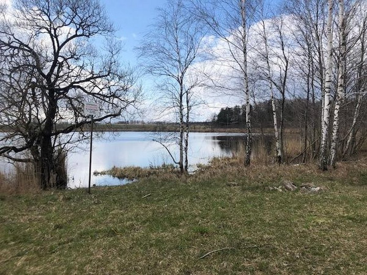 Parduodamas žemės ūkio paskirties sklypas - nuotraukos Nr. 7