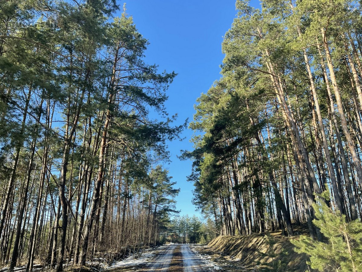 Parduodamas Namų valdos sklypas