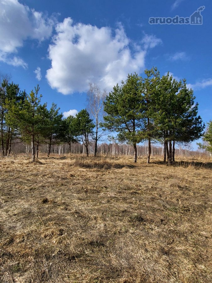 Parduodamas Sklypas Išskirtinėje Vietoje Prie - nuotraukos Nr. 5