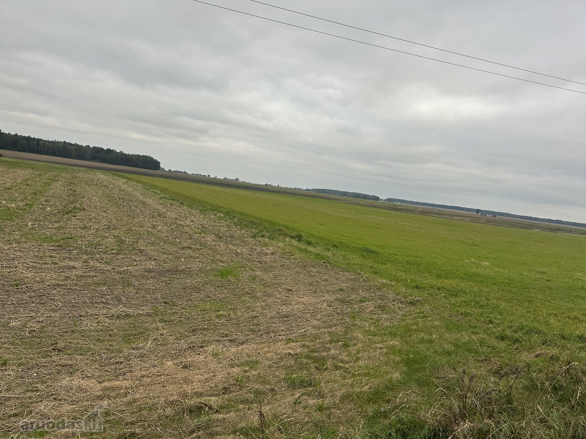 Parduodamas žemės sklypas. Žemės ūkio - nuotraukos Nr. 2