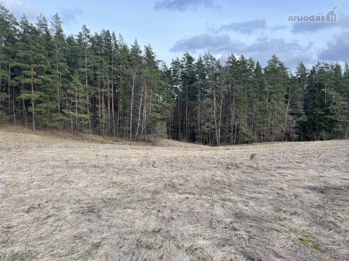 Parduodamas ~24 arų namų valdos sklypas - nuotraukos Nr. 12