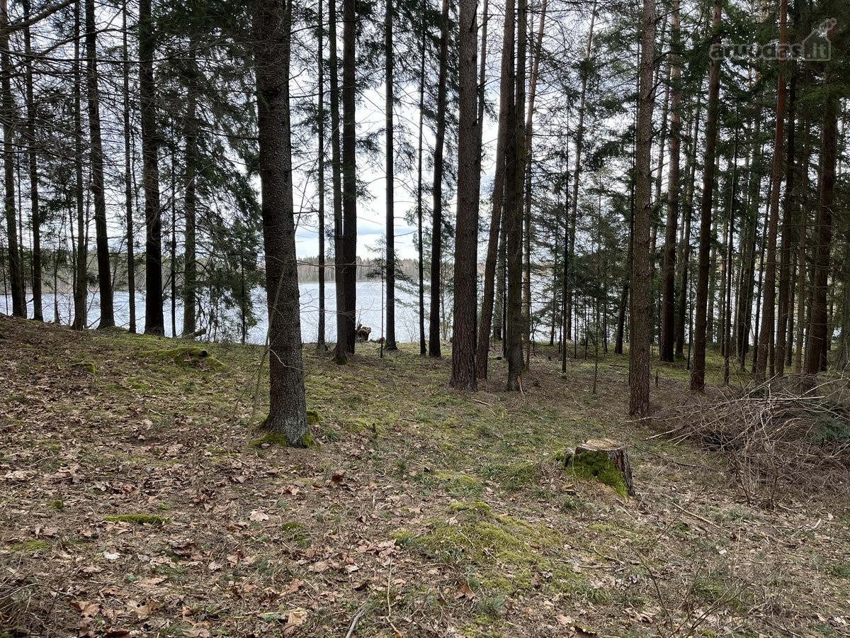 Parduodamas ~24 arų namų valdos sklypas - nuotraukos Nr. 13