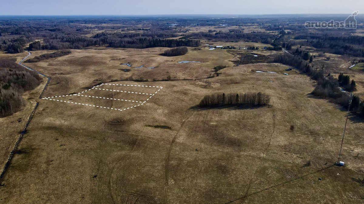 1,80 ha sklypų masyvas ūkininko sodybai – tik - nuotraukos Nr. 6