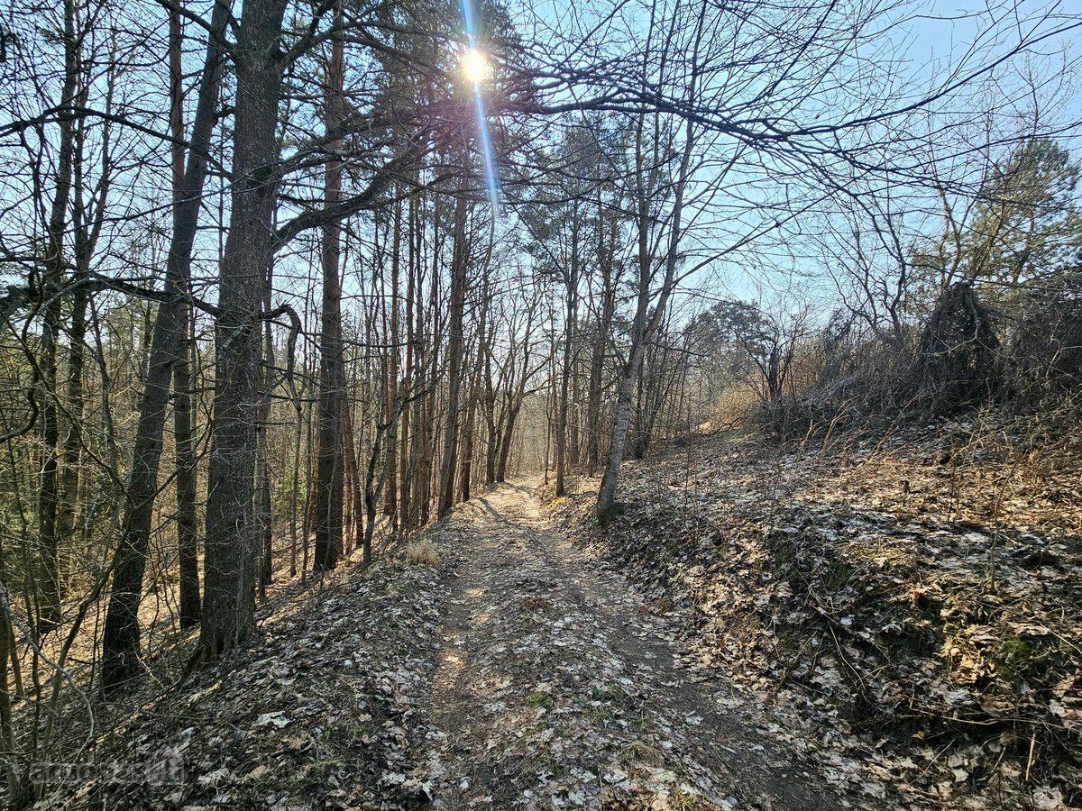 Išskirtinis sklypas Anykščių šilelyje - nuotraukos Nr. 9