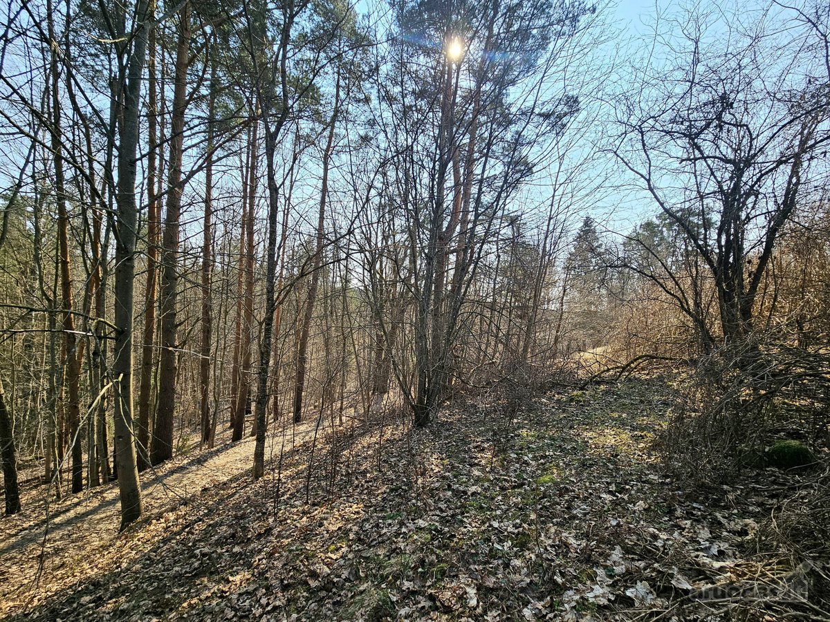 Išskirtinis sklypas Anykščių šilelyje - nuotraukos Nr. 8