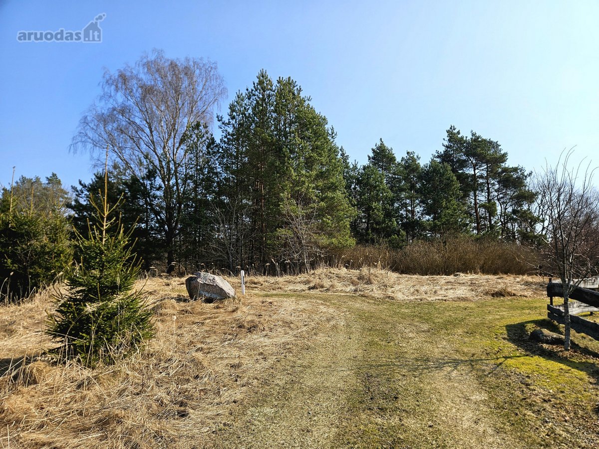 Išskirtinis sklypas Anykščių šilelyje - nuotraukos Nr. 5