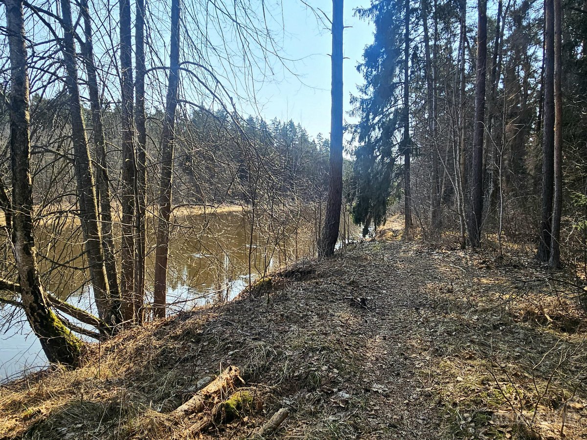 Išskirtinis sklypas Anykščių šilelyje - nuotraukos Nr. 14