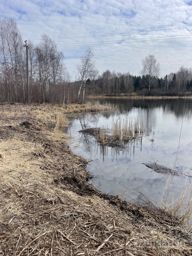 Parduodamas žemės sklypas Žemaitijoje, Telšių r. - nuotraukos Nr. 2