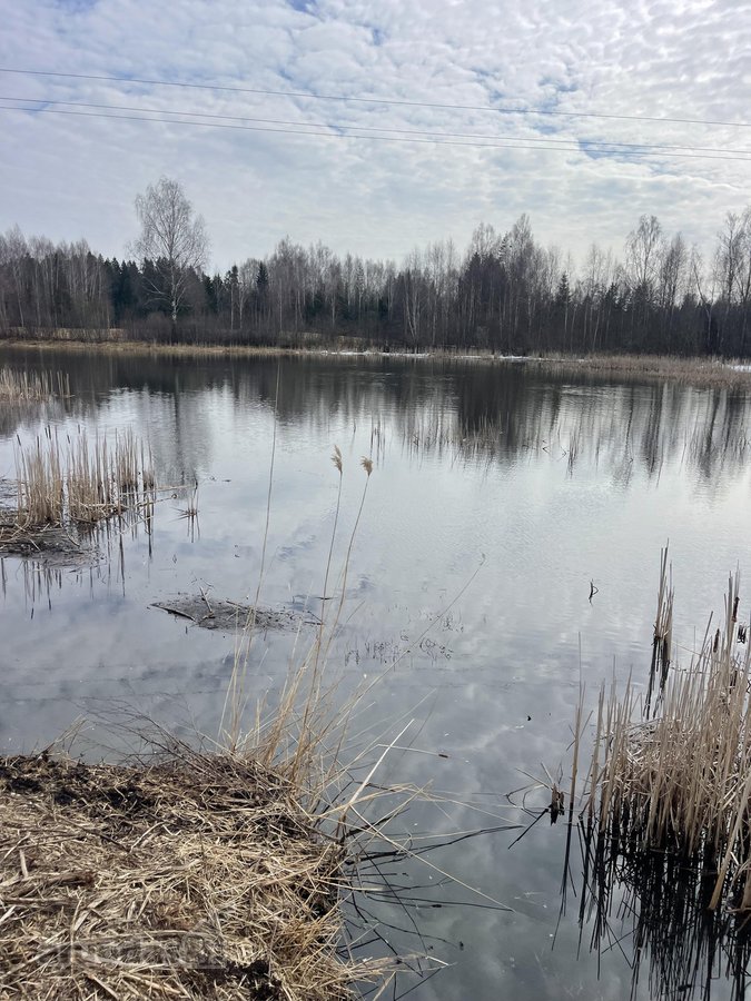 Parduodamas žemės sklypas Žemaitijoje, Telšių r. - nuotraukos Nr. 3