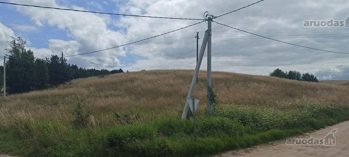 Parduodamas žemės ūkio paskirties sklypas. - nuotraukos Nr. 4