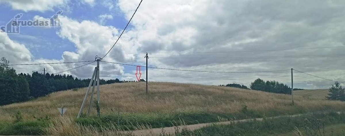 Parduodamas žemės ūkio paskirties sklypas. - nuotraukos Nr. 5
