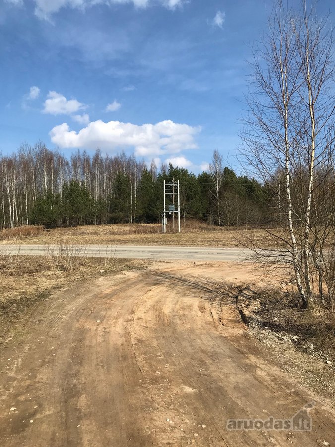 Parduodamas 1 ha sodybinis sklypas. - nuotraukos Nr. 4