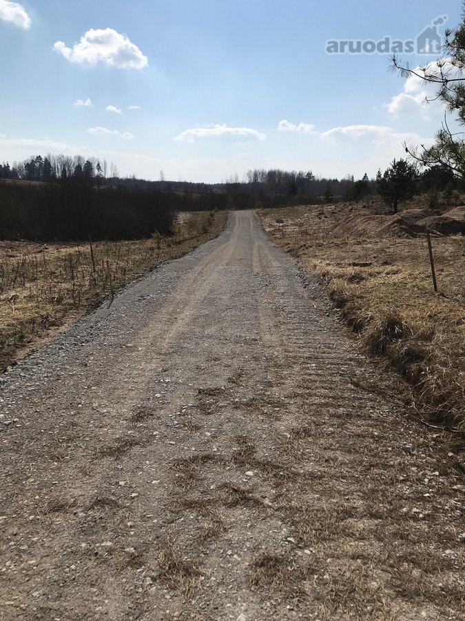 Parduodamas 1 ha sodybinis sklypas. - nuotraukos Nr. 5