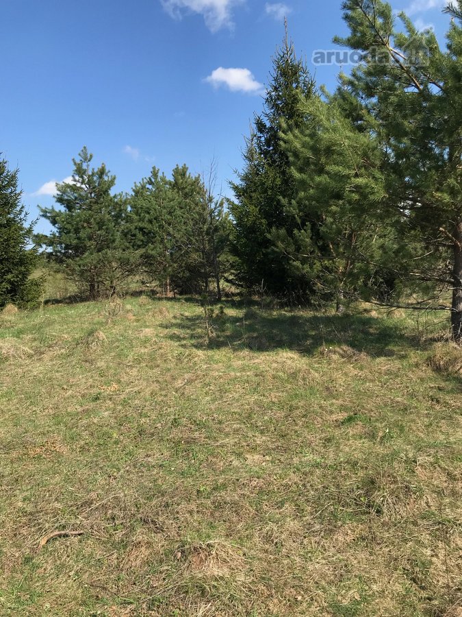 Parduodamas 1 ha sodybinis sklypas. - nuotraukos Nr. 7