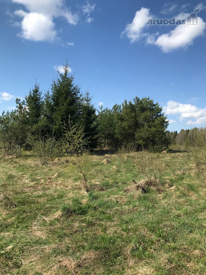 Parduodamas 1 ha sodybinis sklypas. - nuotraukos Nr. 6