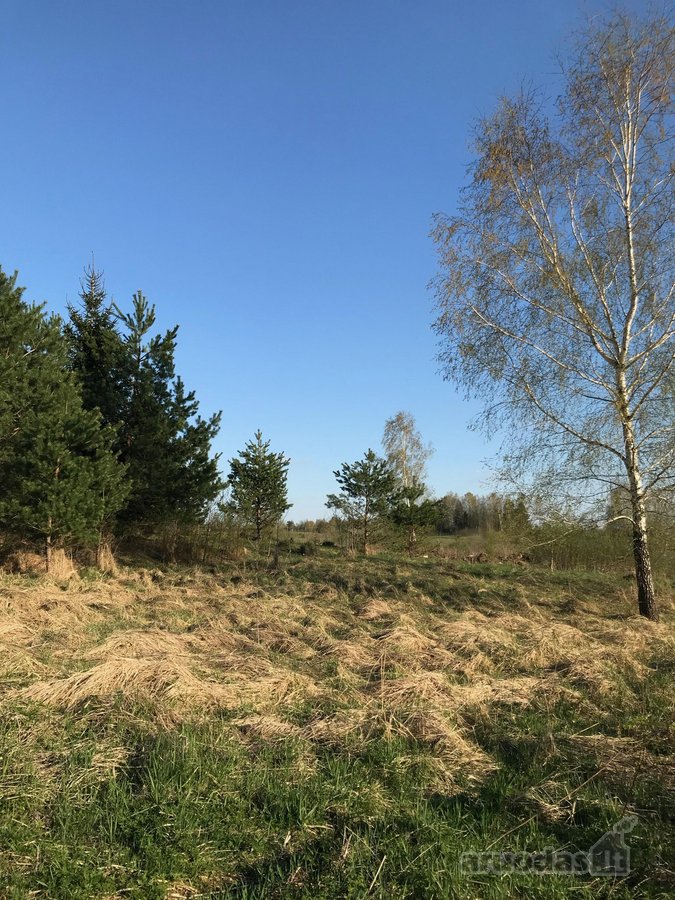 Parduodamas 1 ha sodybinis sklypas. - nuotraukos Nr. 8