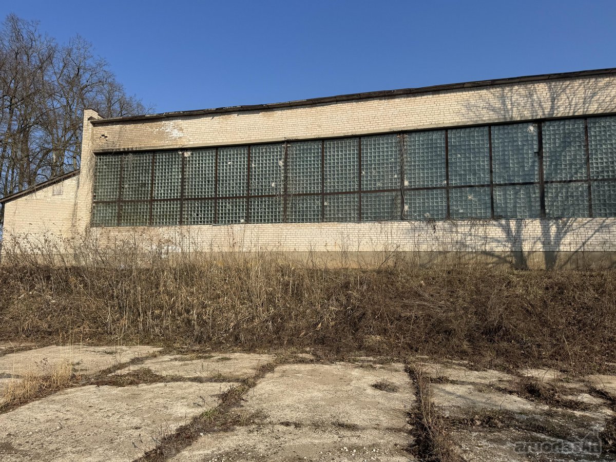 Nuostabiame miestelyje, ant Veprių ežero - nuotraukos Nr. 9