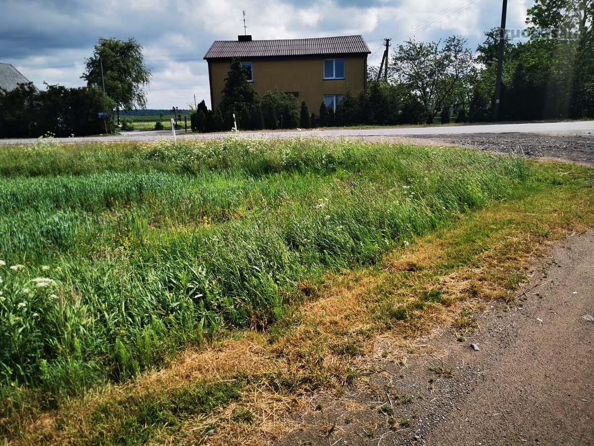 30 Arų Sklypas Investicijai Klaipėdos Apskrityje - nuotraukos Nr. 5