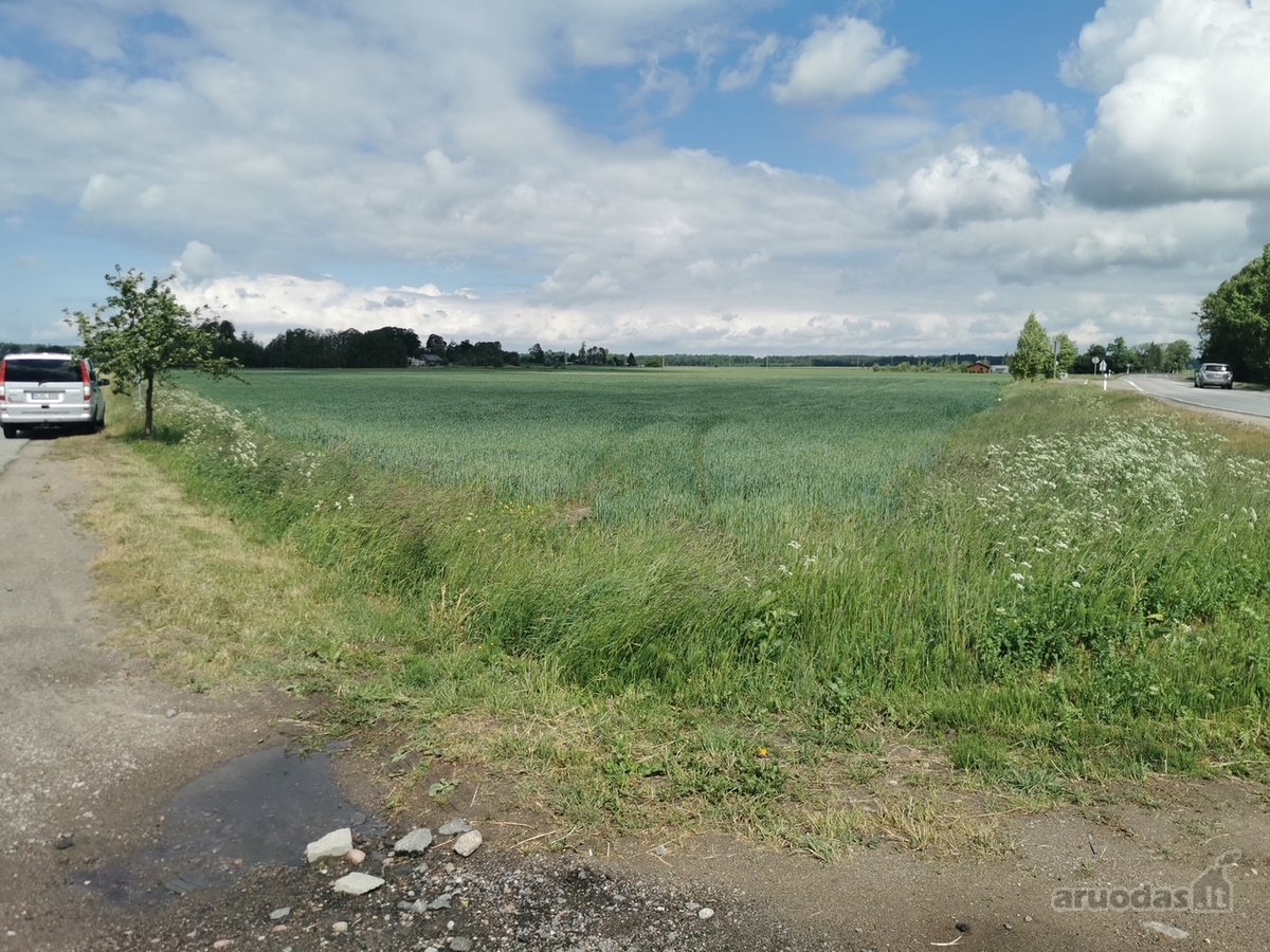 30 Arų Sklypas Investicijai Klaipėdos Apskrityje - nuotraukos Nr. 6