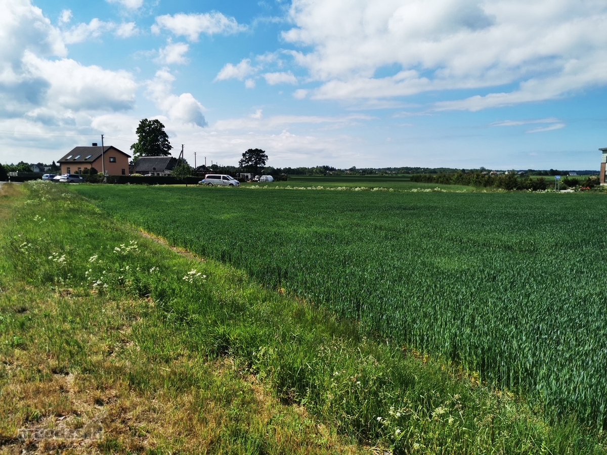 30 Arų Sklypas Investicijai Klaipėdos Apskrityje - nuotraukos Nr. 10