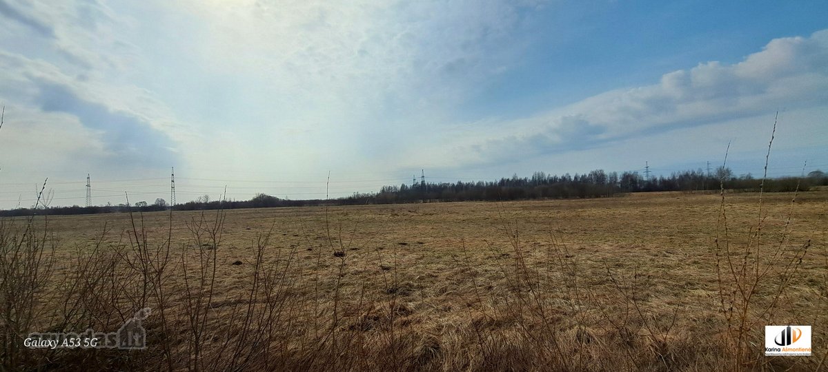 Parduodamas žemės ūkio paskirties sklypas - nuotraukos Nr. 6
