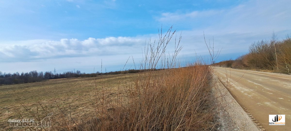 Parduodamas žemės ūkio paskirties sklypas - nuotraukos Nr. 3
