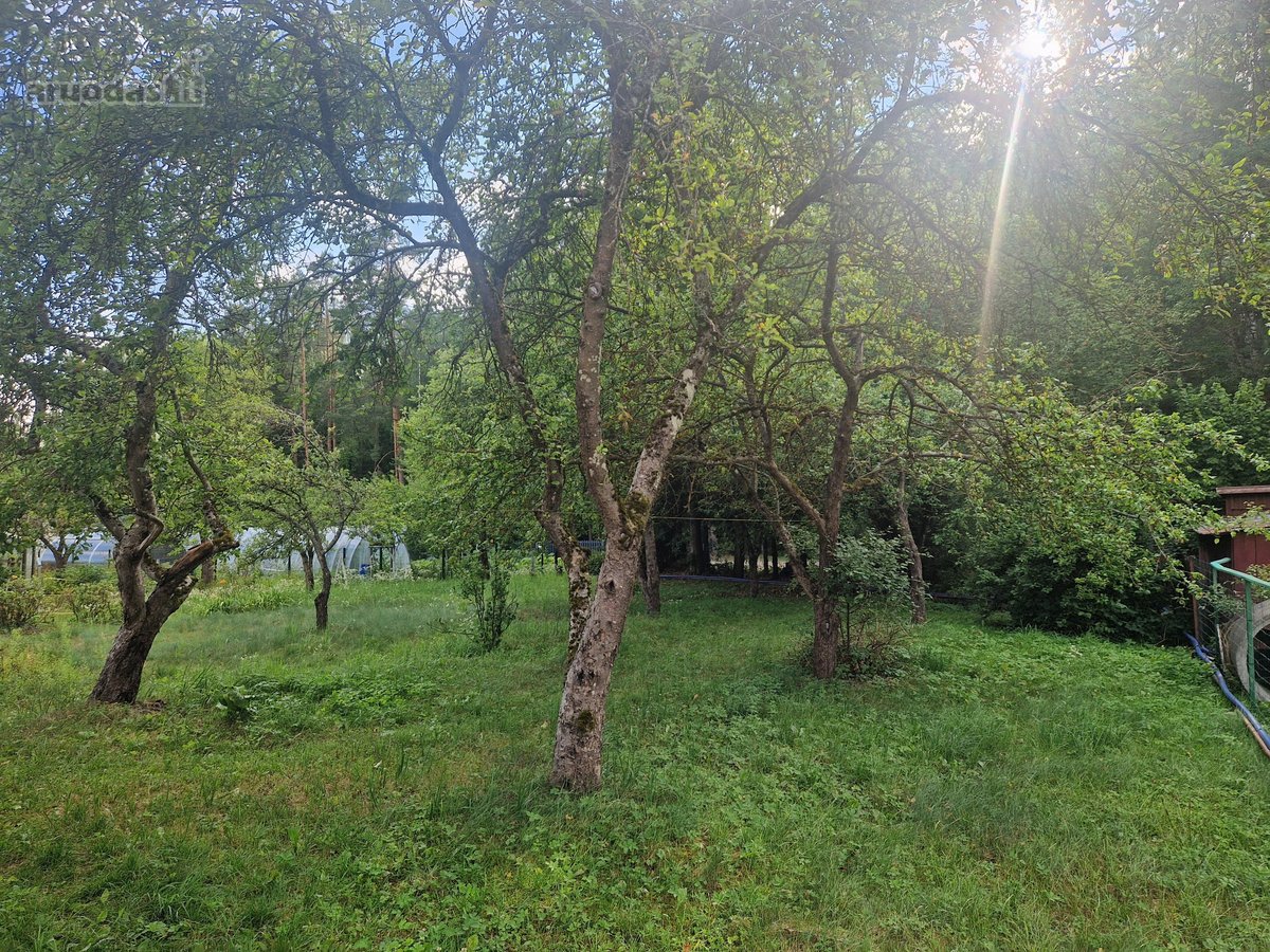 Parduodamas tvarkingas ir kokybiškai - nuotraukos Nr. 13