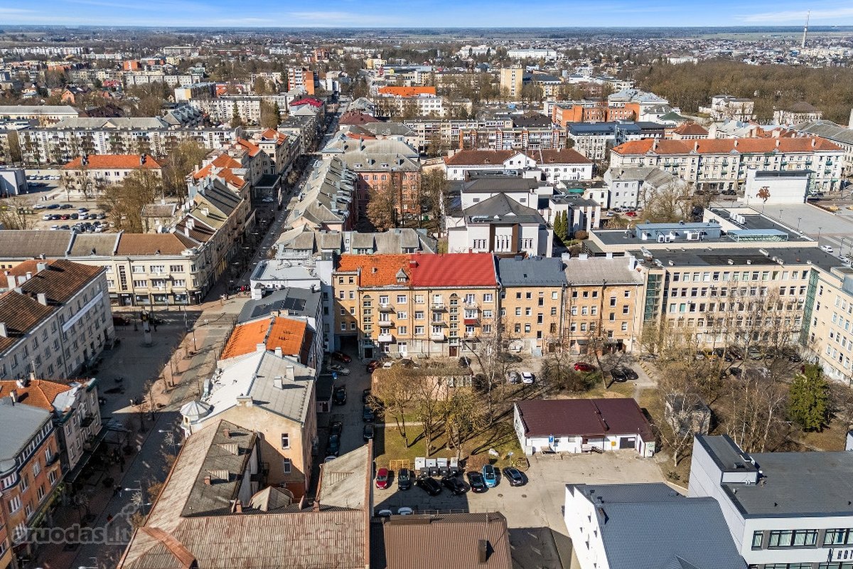 Priešais Šiaulių dramos teatrą, puikioje - nuotraukos Nr. 18