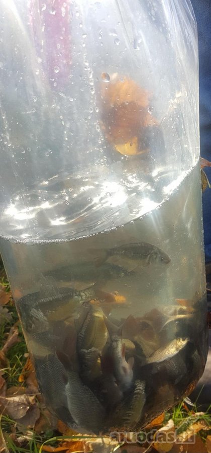 Parduodama išskirtinė 16 ha sodyba, kuriai - nuotraukos Nr. 37