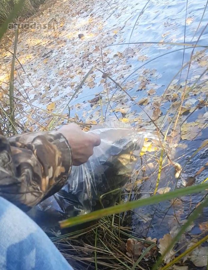 Parduodama išskirtinė 16 ha sodyba, kuriai - nuotraukos Nr. 35