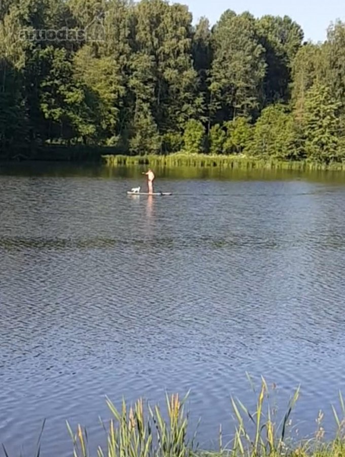 Parduodama išskirtinė 16 ha sodyba, kuriai - nuotraukos Nr. 18
