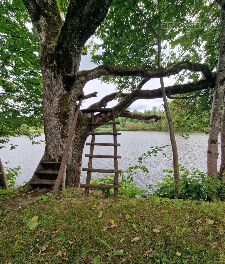 Parduodama išskirtinė 16 ha sodyba, kuriai - nuotraukos Nr. 23