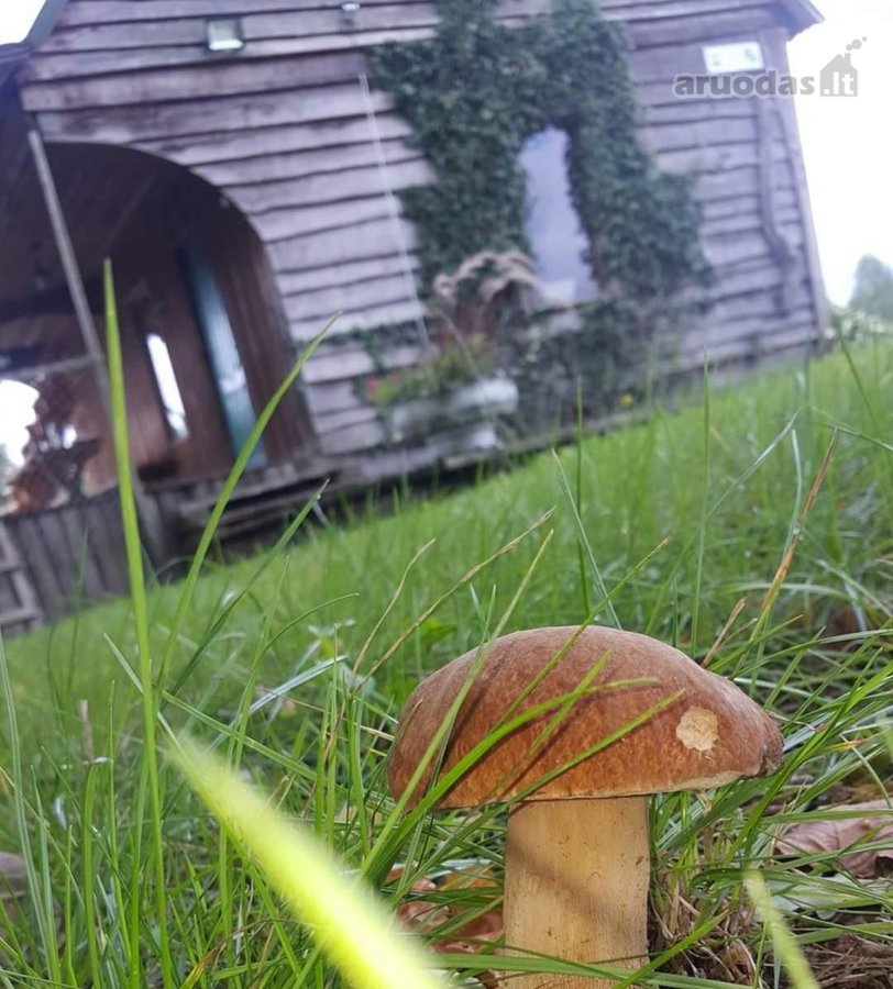 Parduodama išskirtinė 16 ha sodyba, kuriai - nuotraukos Nr. 27