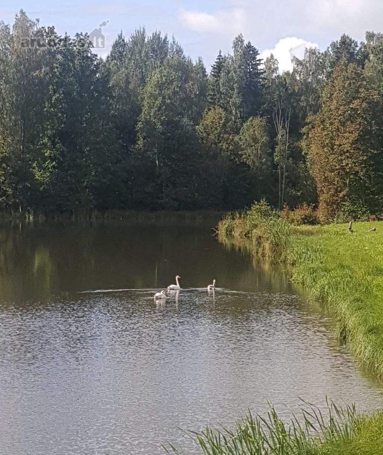 Parduodama išskirtinė 16 ha sodyba, kuriai - nuotraukos Nr. 29