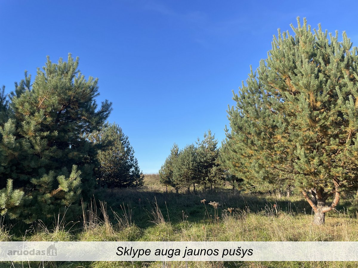 Parduodamas sklypas, ypatingai gražaus - nuotraukos Nr. 22