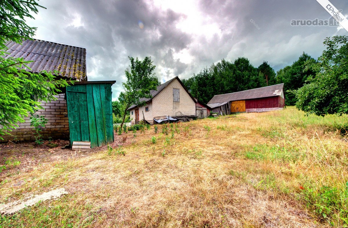 Vilniaus raj. Paberžės sen. Visalaukės I - nuotraukos Nr. 7