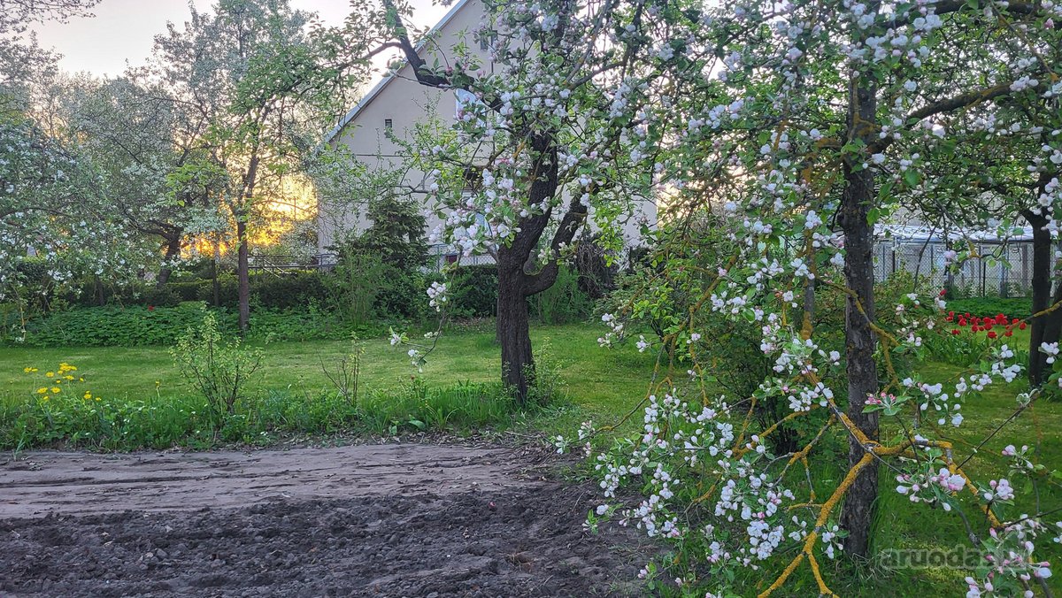 Parduodamas namas su 18,5 a. žemės sklypu -