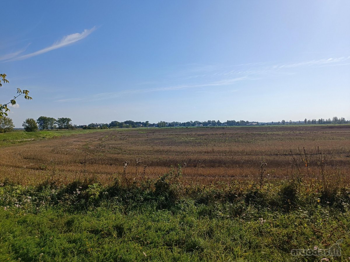Šalia Sanžilės upės parduodamas sklypas - nuotraukos Nr. 17