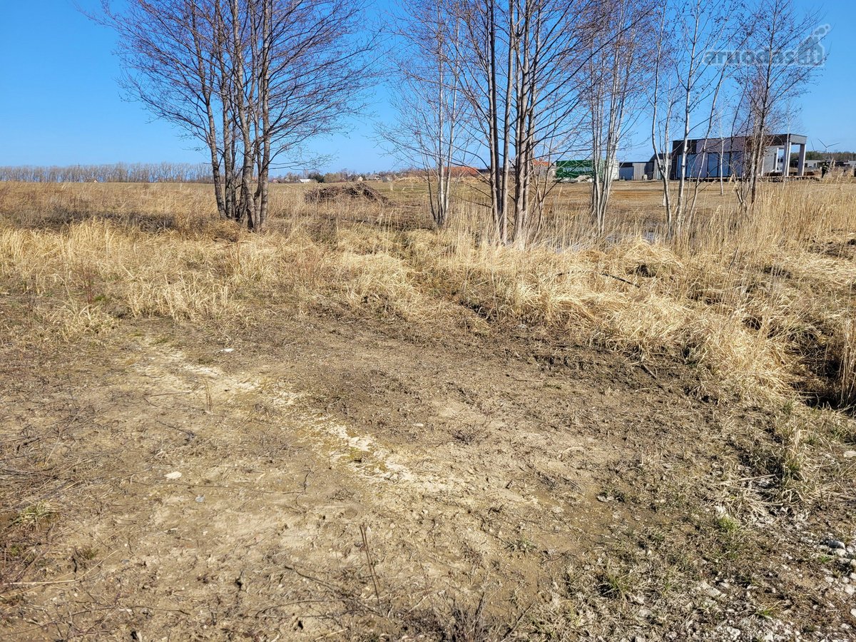 Tarp Klaipėdos ir Palangos miestų, Girkalių - nuotraukos Nr. 3