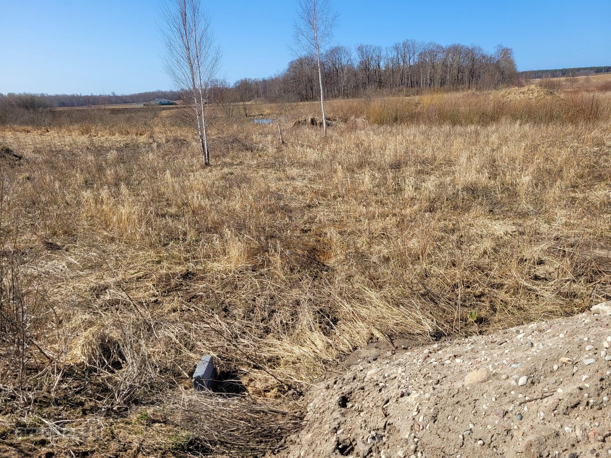 Tarp Klaipėdos ir Palangos miestų, Girkalių - nuotraukos Nr. 5